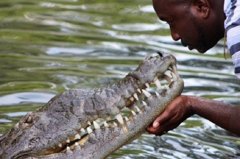 Black River Safari
