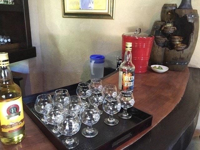 Hampden Rum & Bamboo Rafting Tour
