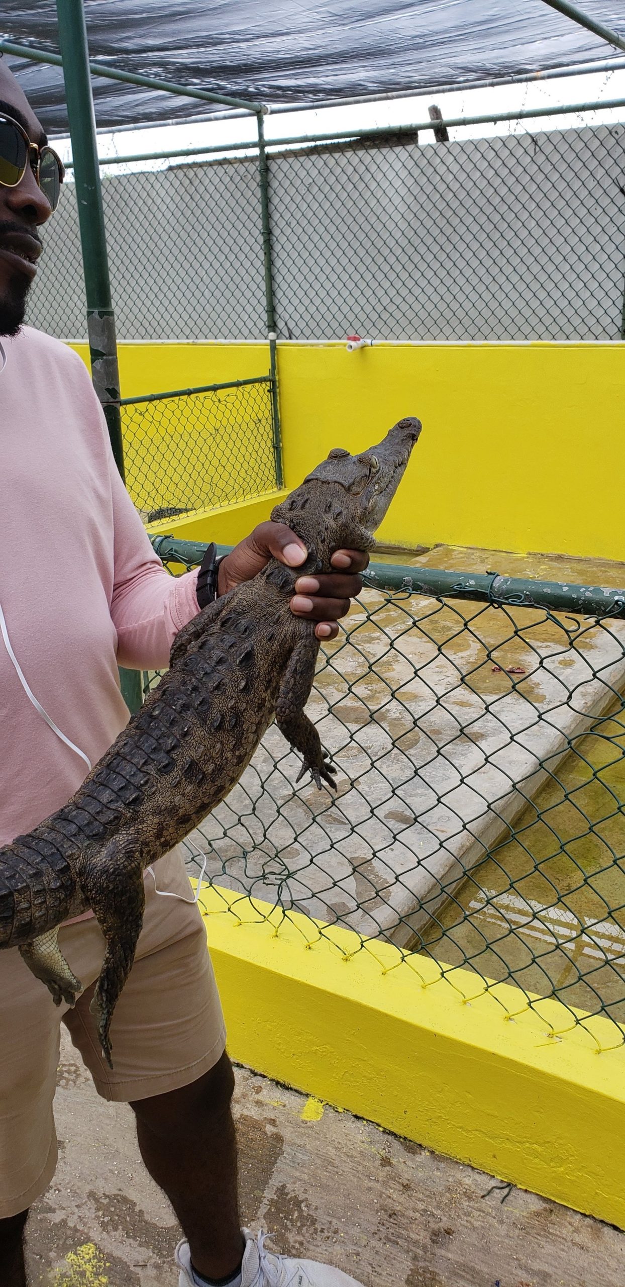 Black River Safari & Pelican Bar Tour