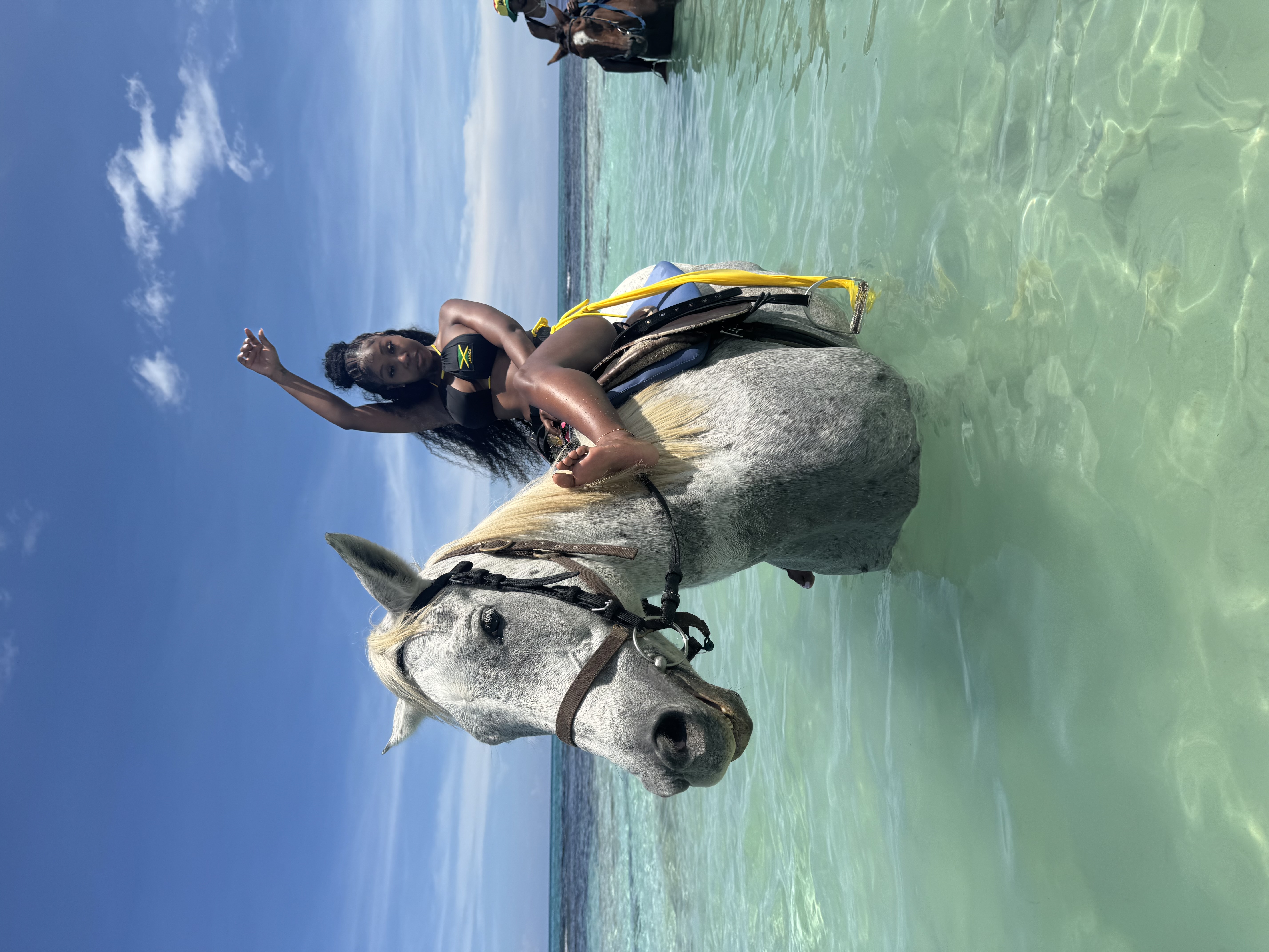 Bali inspred swing, Horse Back Riding and Blue Hole Tour